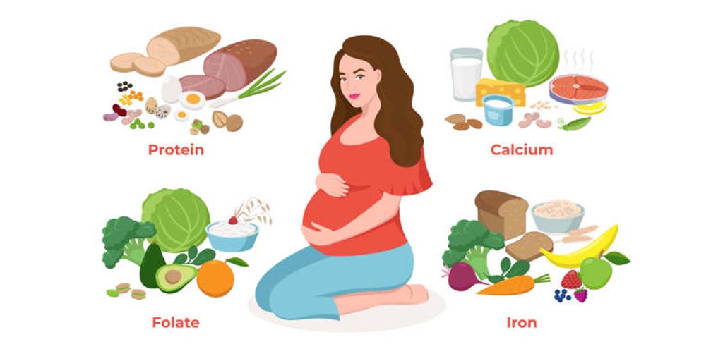 Pregnancy & Nutrition